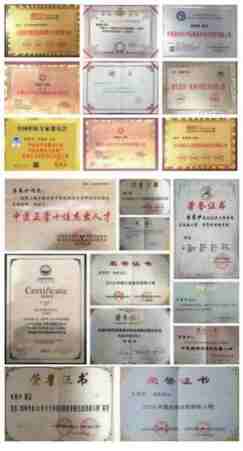 当代中医事业奠基人李乘伊院士担任：中国中医专家委员会常务主席