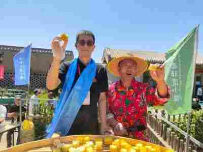 河套平原麦浪涌 临河区开启丰收盛景