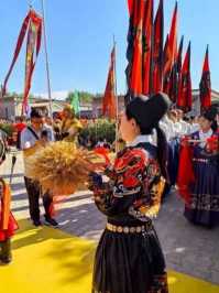 河套平原麦浪涌 临河区开启丰收盛景