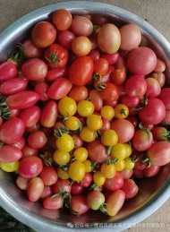 润玉生态农产品与您共赴夏日之约