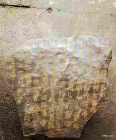 世界中医药联合会 传统医学博士——马忠义院长　