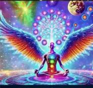 世界中医药联合会 传统医学博士——马忠义院长　