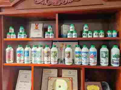 巧用科技兴产链  生态农业赋新能  ——访生态农业种植文化大使李铁忠