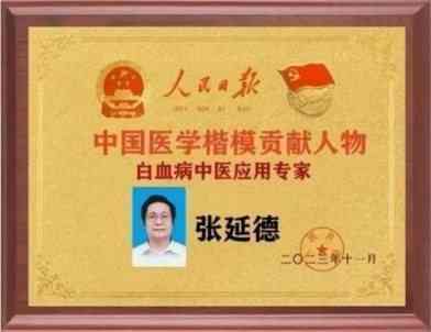 民族复兴的人民功臣——张延德 和光同尘张延德觉者