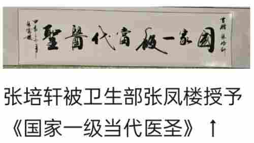 党旗下的风采 国宝级中医——张培轩
