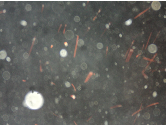 堕胎婴灵为什么一定要超度走？--净空法师|明旺法师告诉你堕胎婴儿一定要超度走|西安超度阴灵的地方