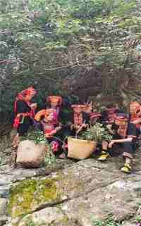 金秀瑶族灯草灸疗法 瑶医药非物质文化遗产传承人---赵衷民