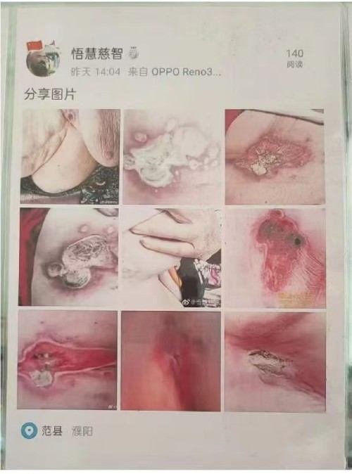 医道同源 慧慈济世 悟慧慈智法师的中医药文化传承之路