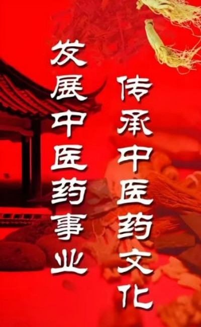 中医走向世界——刘秦鄂