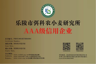 麦海逐梦守初心 科技兴农担使命 ——记小麦育种专家弭尚岭的奋斗征程