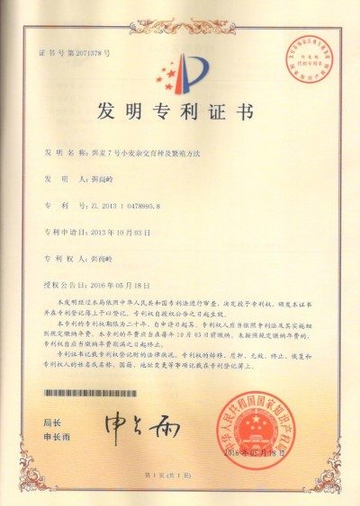 麦海逐梦守初心 科技兴农担使命 ——记小麦育种专家弭尚岭的奋斗征程