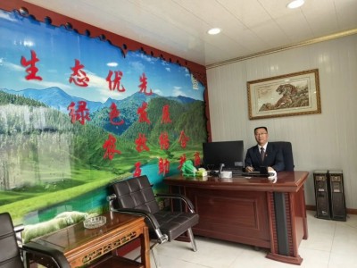 鸿壮农牧创始人李杰，扎根乡土，以“羊”为笔绘振兴