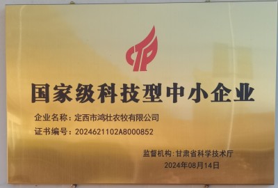 鸿壮农牧创始人李杰，扎根乡土，以“羊”为笔绘振兴