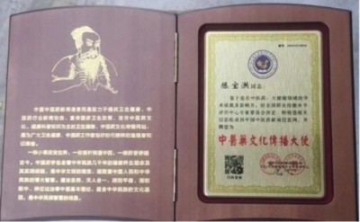 陈宝洪： 探寻中医魅力