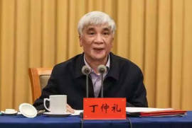 【诺贝尔化学奖孵化课题《丁仲礼：二氧化碳温室效应质疑》——数理化基础宏微分析】