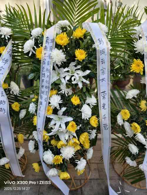 【诺贝尔奖孵化中心会客厅】 【乡宗贤达致敬，彰显氏族荣光】