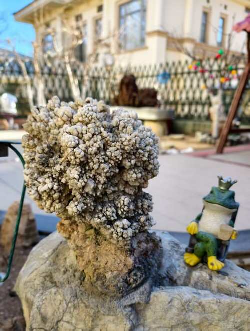 【诺贝尔奖孵 化中心会客厅】