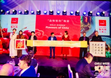 当代国学传承人——华卿