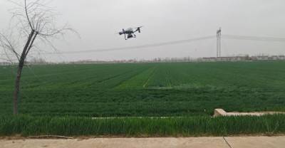 给麦田“做CT”，无人机“智慧施肥”技术首次在徐州睢宁县运用